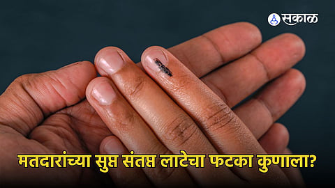 Lok Sabha polls