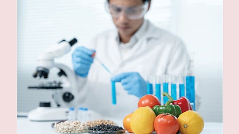 btech food technology education