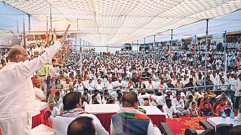 Satara Lok Sabha Shashikant Shinde