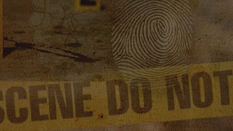 Crime 
