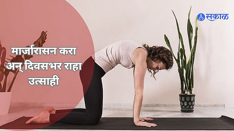 Marjaryasana Benefits: