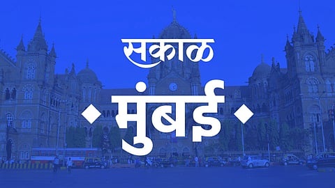 झाडांवर बेकायदेशीर विद्युत रोषणाई
झाडांवर बेकायदेशीर विद्युत रोषणाई