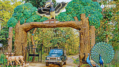  Pench Tiger Reserve