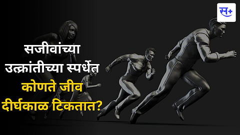evolutionary competition