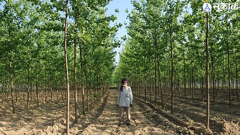 Agriculture Scheme (file photo)