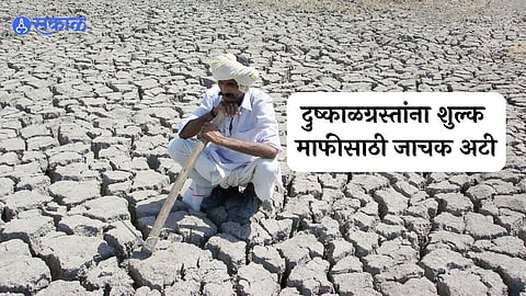 pune news