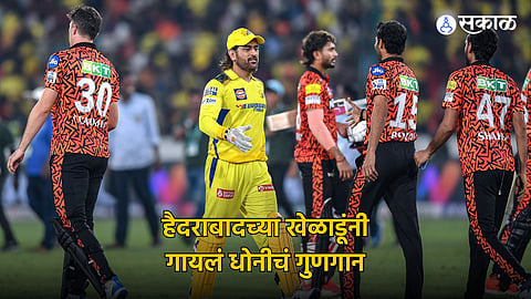 Sakal