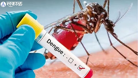 dengue 