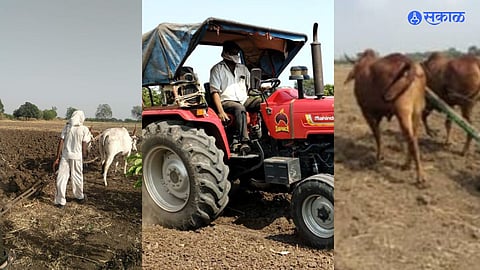 Farm News: मशागतीसाठी शेतकऱ्यांचा कल आधुनिक शेतीकडे वाढल्याने सुतार व्यवसाय संकटात