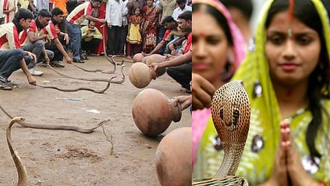 Battis Shirala Snake Festival
