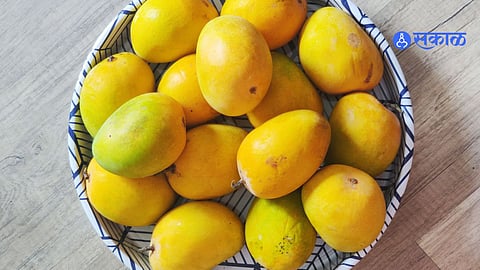 Mango Health Benefits