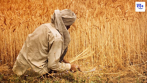 agriculture and  economy 