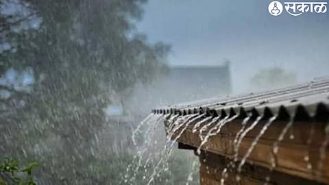 rain