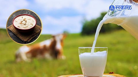 World Milk Day 2024