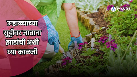 Gardening Tips