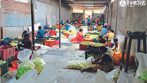 Women laborers in peeling and slicing kairi.