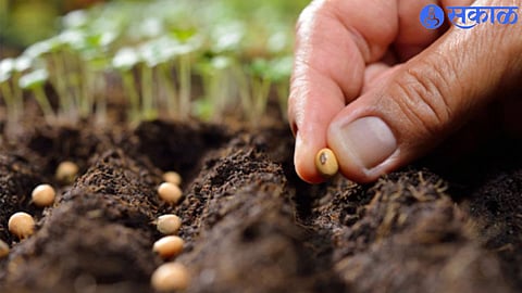 Sowing