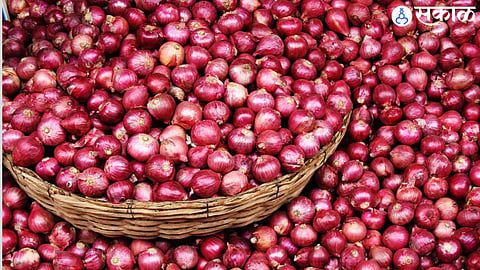 Onion 