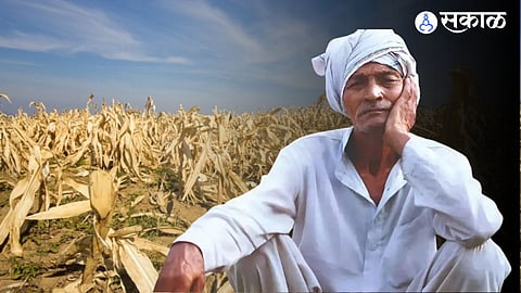 Tensed Farmer