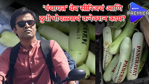 Panchayat 3: प्रमोशनची हटके पद्धत; भाजी मंडईतील दुधीभोपळ्यावर 'पंचायत'चं नाव, व्हिडीओ व्हायरल 
