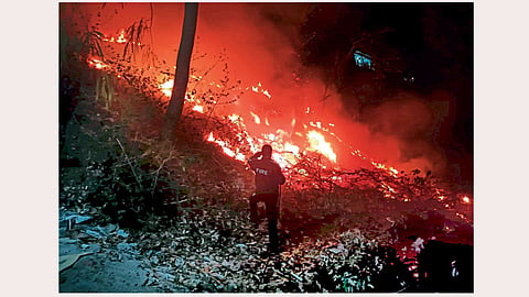 nainital wildfire
