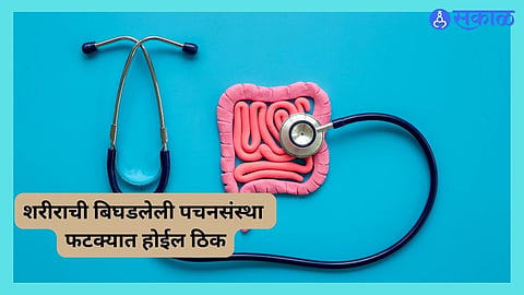 World Digestive Health Day 2024 