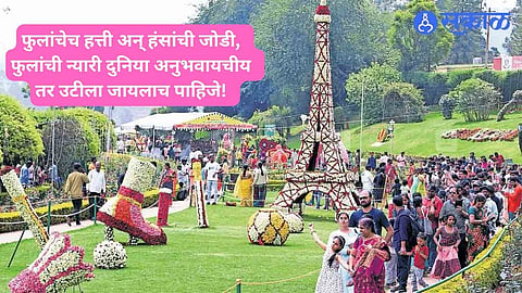 Flower Fest 2024