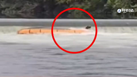 Pravara River SDRF Boat Accident