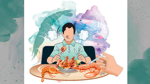 Shrimp Food