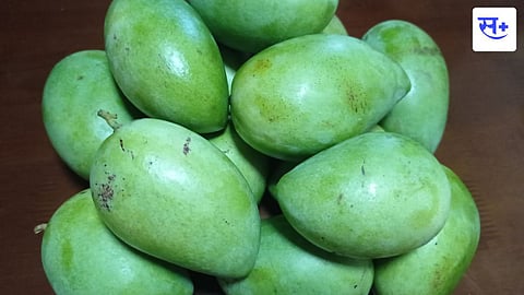 mango