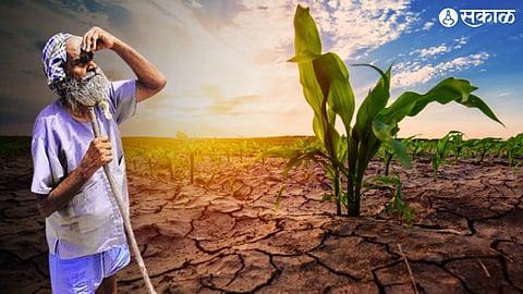 farmer Water scarcity tension