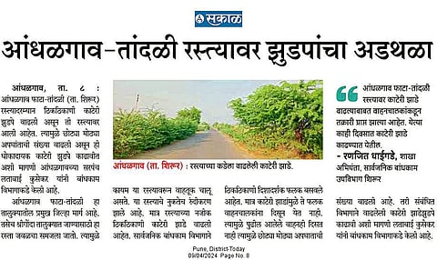 आंधळगाव-तांदळी रस्त्यावरील काटेरी झुडपे काढली