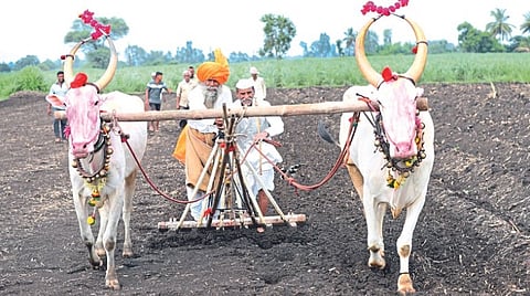 Rohini Nakshatra Muhurat