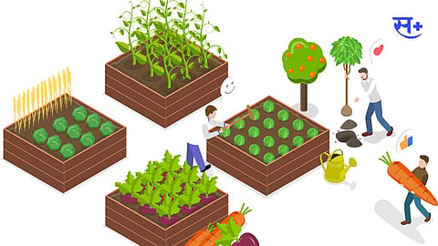 Career In Agriculture