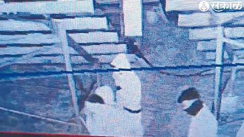 A CCTV footage of gang criminals.