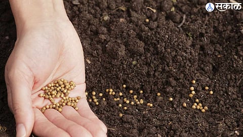 Fake Seed 