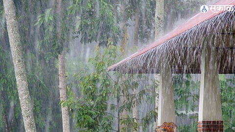 Rain Forecast