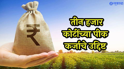 Crop Loans 