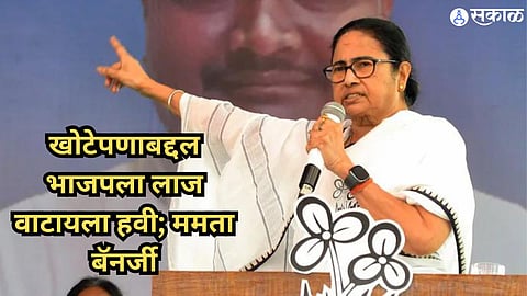 Mamata Banerjee 