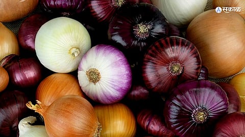 onion export issue administration level policy of onion export