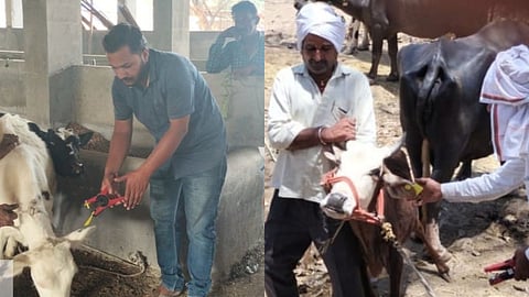 national digital livestock mission