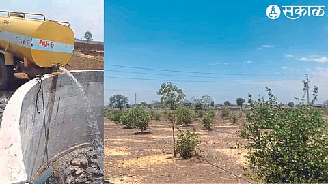 Tanker pouring water into a well. In the second photo, a mango orchard is drying up due to lack of sufficient water.