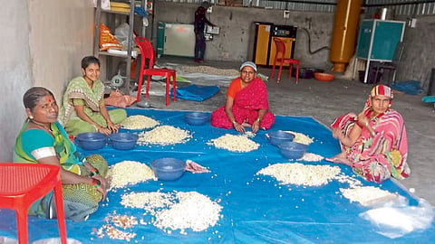 siddhi women self help group