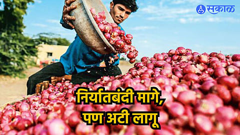 Onion Export News