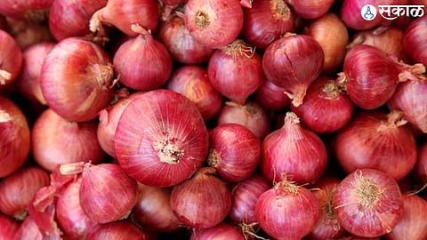 Onion 