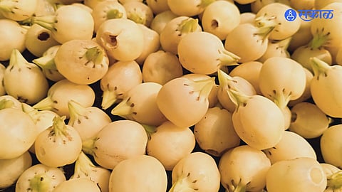 Benefits Of Mahua