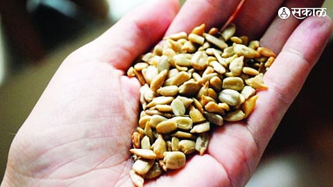 Fake Seed