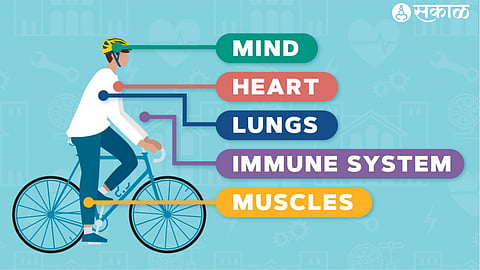  Cycling 