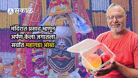 World most expensive mango_Ujjain Mahakal