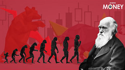what i learned about investment from darwin